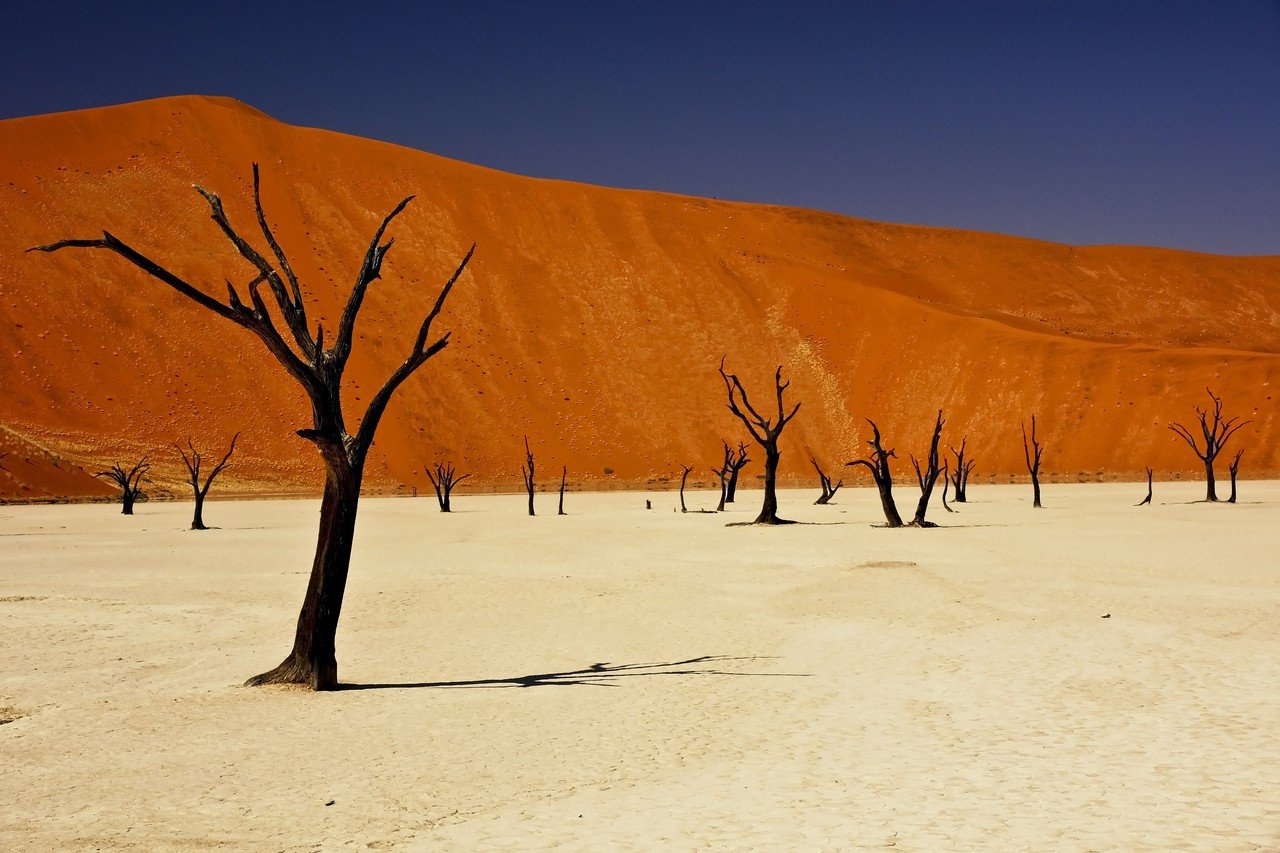 Deadvlei, Namibie