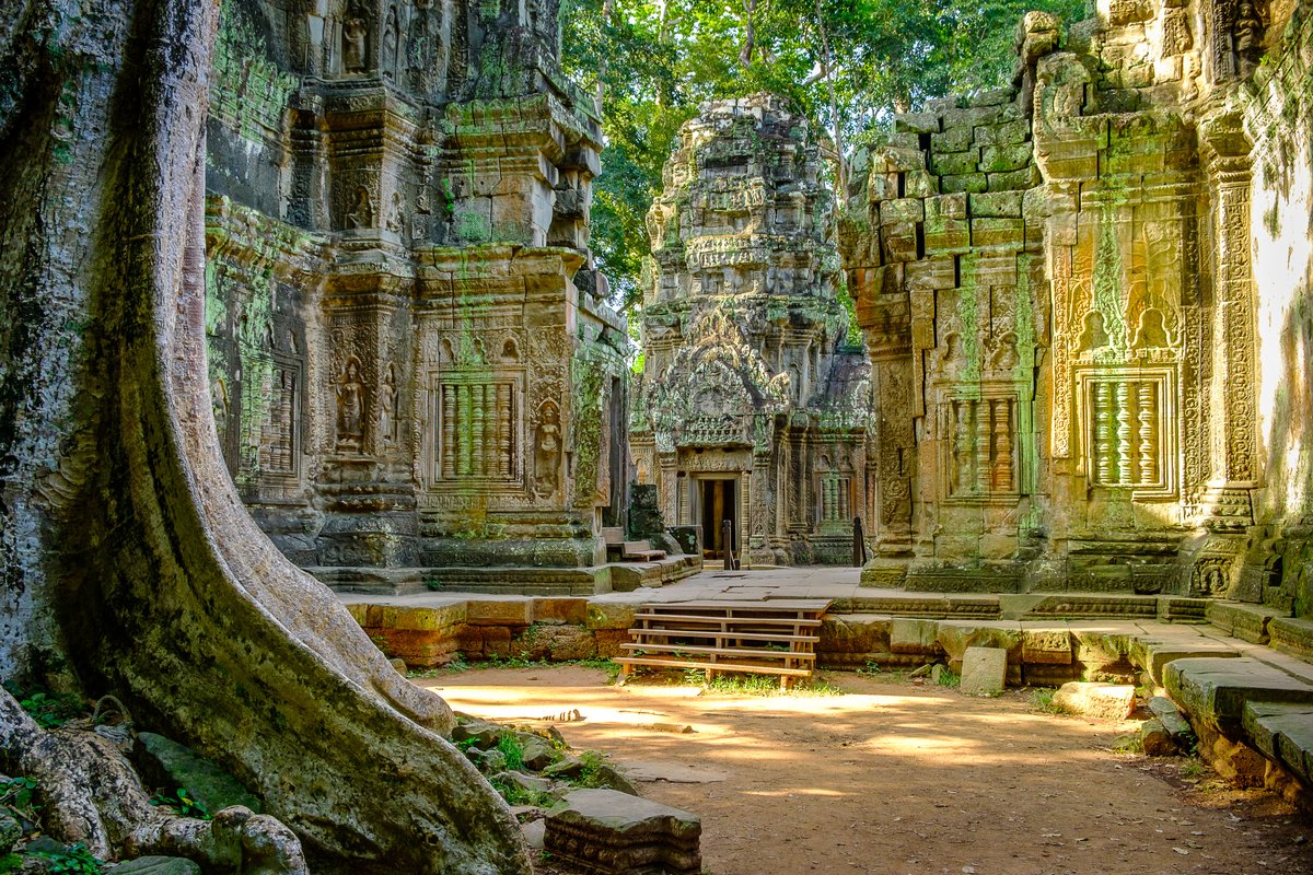 Temple de Ta Prohm, Angkor