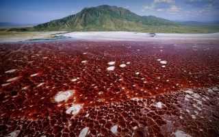 Lac Natron, Tanzanie