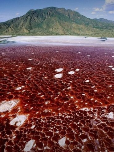 Lac Natron, Tanzanie