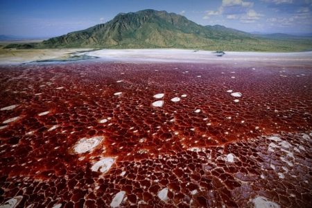 Lac Natron, Tanzanie