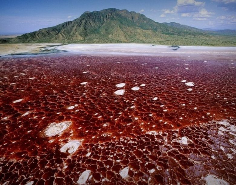 Lac Natron, Tanzanie